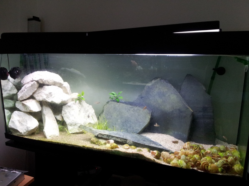 Aquarium 240 litres TANGANYIKA 53322120130518193820