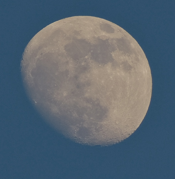 Lune du matin 541400P1010050copie