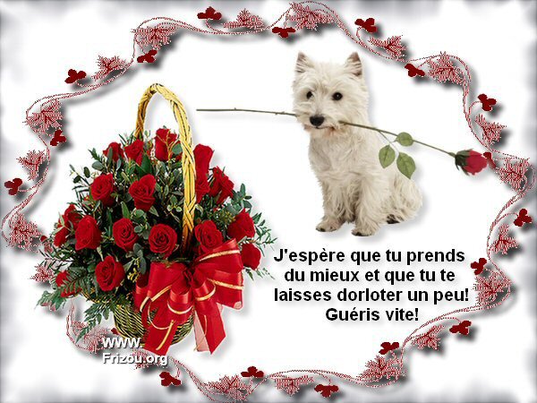 citations celebres et citations images ou pas - Page 10 541631jesperequetuprends