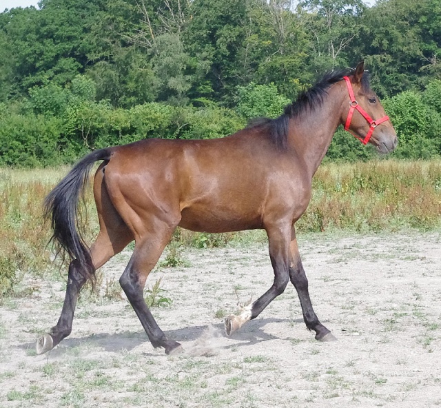 [PLACE LANADELE76] BINGO Trop choucard et même tendre ! 545397bingo4