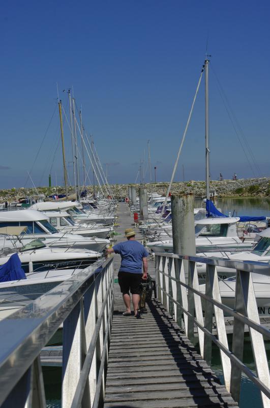 Sortie photo sur Oleron (17) Samedi 07 Aout 2010 à 10h00 - Page 6 545491sortie_ile_oleron__14_