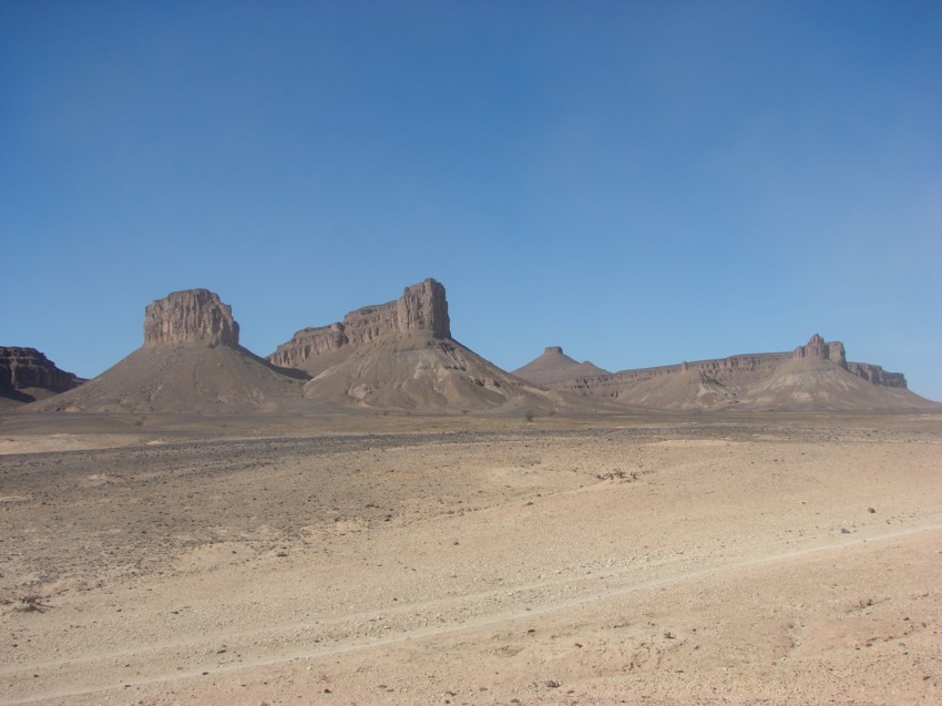 Le Grand Sud du Maroc - II 545713142