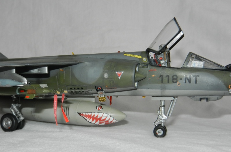 Mirage F1CR -Kitty Hawk 1/48- Fini!  - Page 3 547550DSCN7237