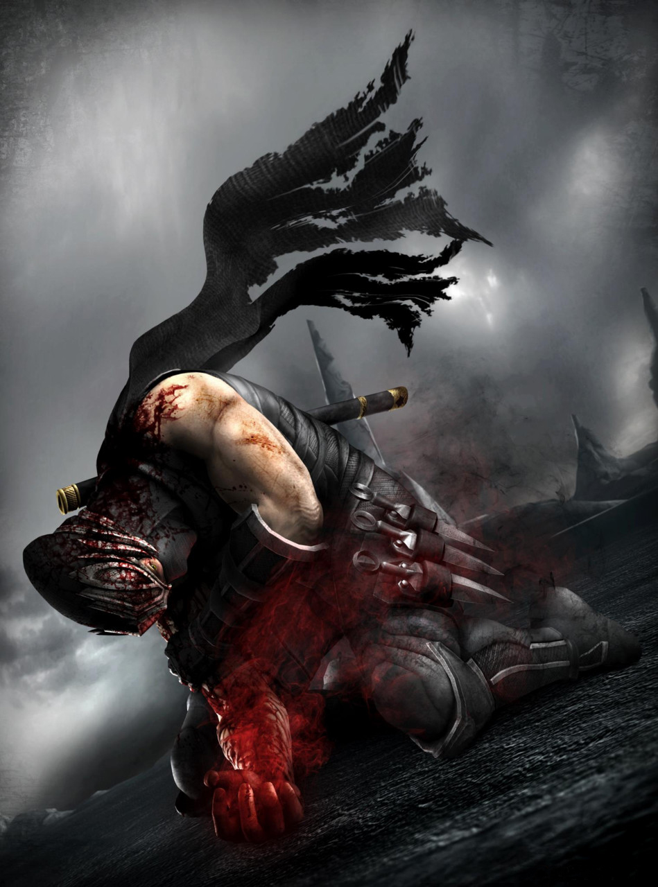 Toutes les images de Ninja Gaiden 3 : 548886c21