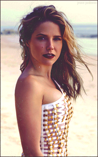 sophia bush 549435sophia2