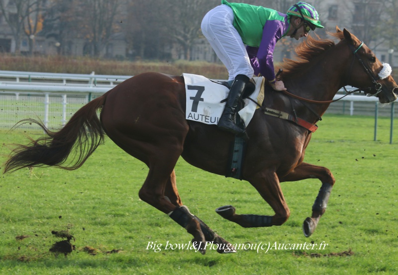 Photos Auteuil 27-11-2016 5494685J6A2555