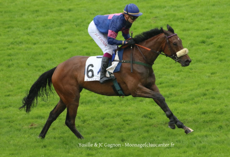 Photos Auteuil 22-05-2016 5515295J6A2960