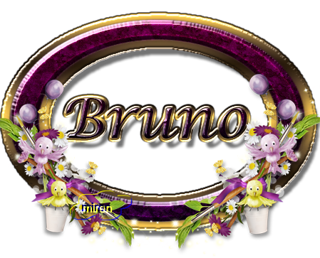 Nombres con B - Página 3 5547080Bruno