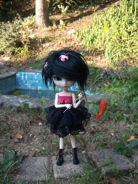 Mes Pullips     nouvelles photos  5550231001073