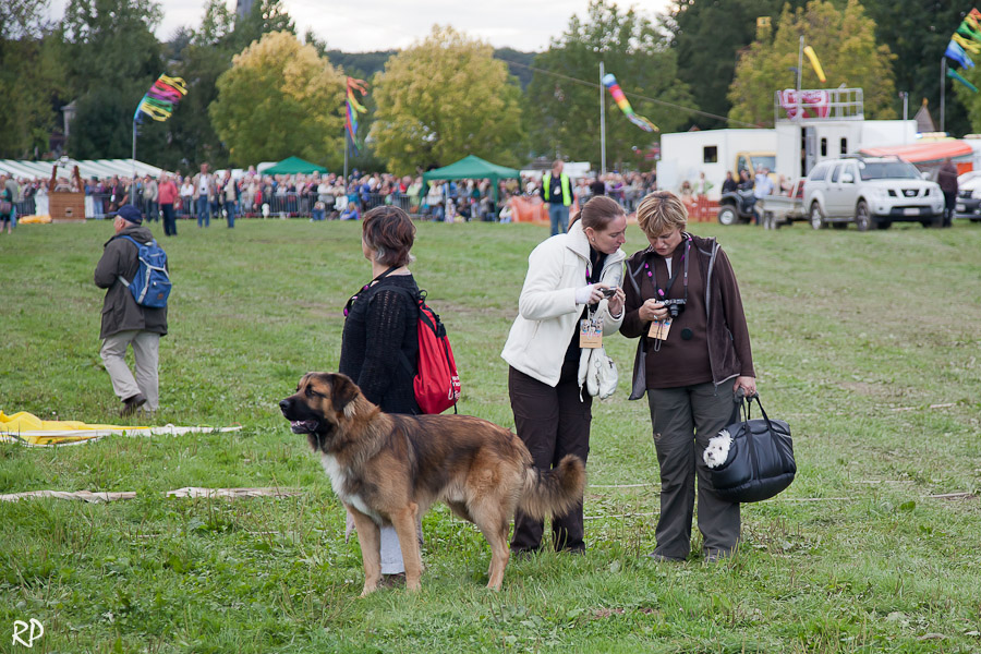 Sortie aux Hottolfiades le 28 août 2011 - les photos d'ambiance 555611Amb4