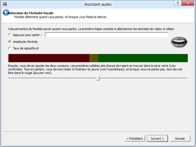 CONFIGURATION DU MICRO POUR LE MUMBLE 556226003