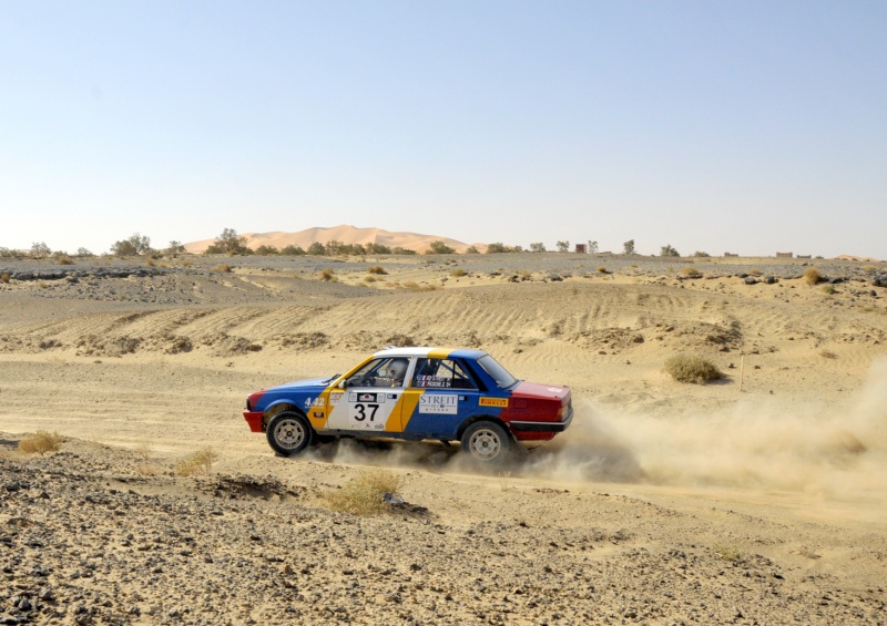 Rallye du Maroc Historique 2013 556889SHG3619TIF