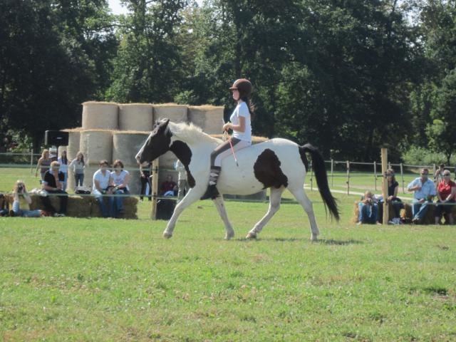 La Cense - samedi 11 septembre 2010 - hors concours 558595IMG_2399_1_