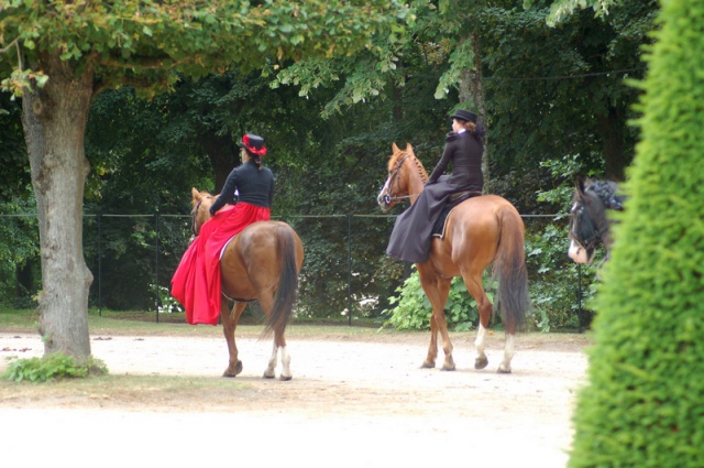 5èmes Rencontres équestres de Lunéville 20-21 juin 15 559171DSC0051