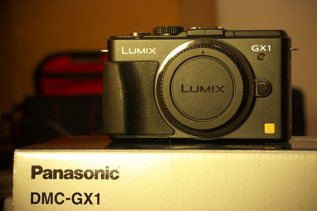 [VENDU] Panasonic Lumix GX1 noir  (2 batteries) 563347P1000018