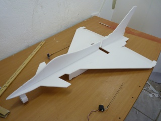 tuto eurofighter "easy build"  5638713224