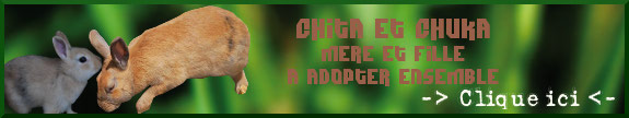 [Adoptées] CHITA et CHUKA, LAPINES, REFUGE FREE DPT (77) 566319chita_chuka