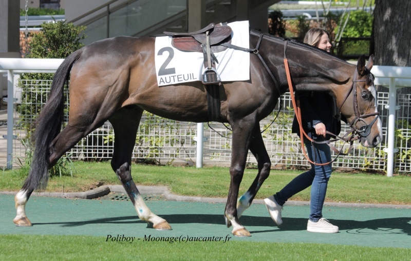 Photos Auteuil 27-04-2016 - Page 2 574234IMG1161