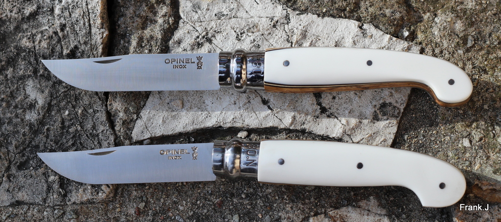 Opinel "custom" 2014 made in Frank 575711IMG2838