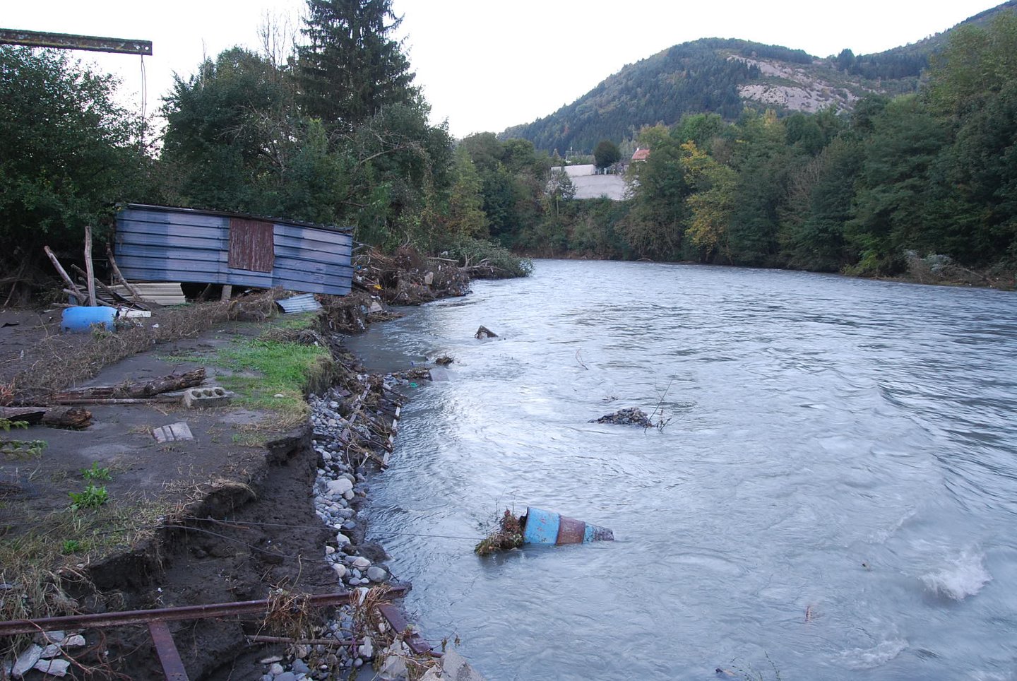 Une vie pyrénéenne de labrit des pyrénées - Page 16 5784822310201218