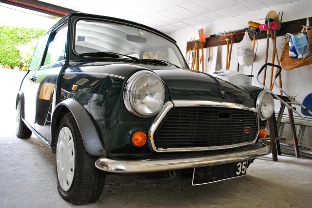 Showroom de Socare (Mini Racing Green) déterrage   579429807098DSC0017