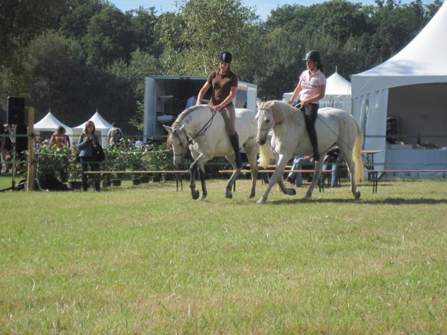 La Cense - samedi 11 septembre 2010 - hors concours 584636IMG_2237_1_