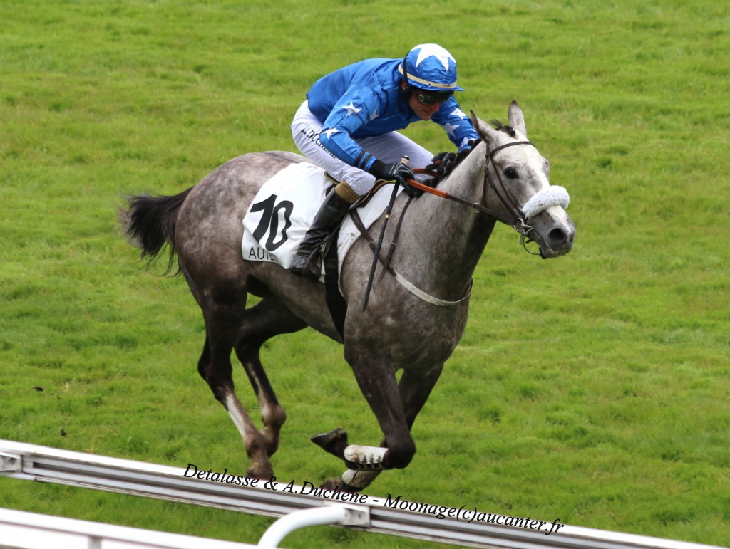 Photos Auteuil 30-04-2016 5864435J6A0107