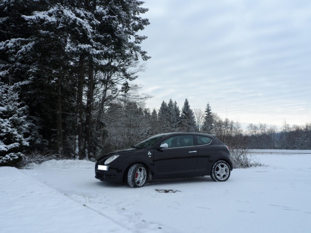 Concours photo n°40 Février 2015 : "Votre Alfa à la campagne" 587839SAM1966a