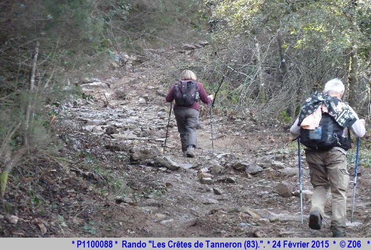 24 Février 2015 - Rando "les crêtes de Tanneron (83)"  591977P1100088