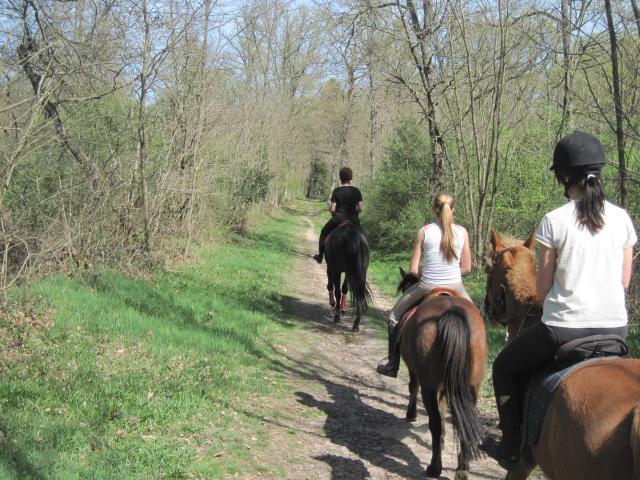 Balade de 2h - Milly la Forêt - Chapeau de Napoléon 592462IMG5968