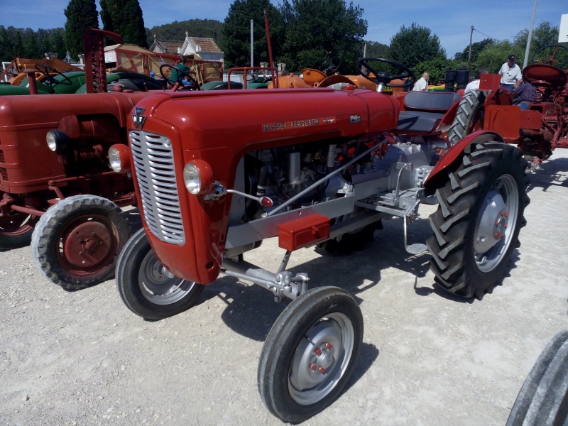 la Fête de l'Agriculture à St THEODORIT  20 et 21 Juin 2015 597631IMG20150621104609