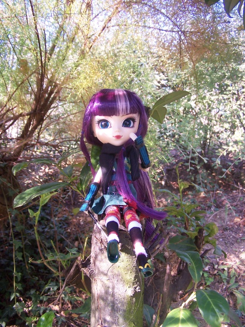 Mes Pullips     nouvelles photos  5977761001060