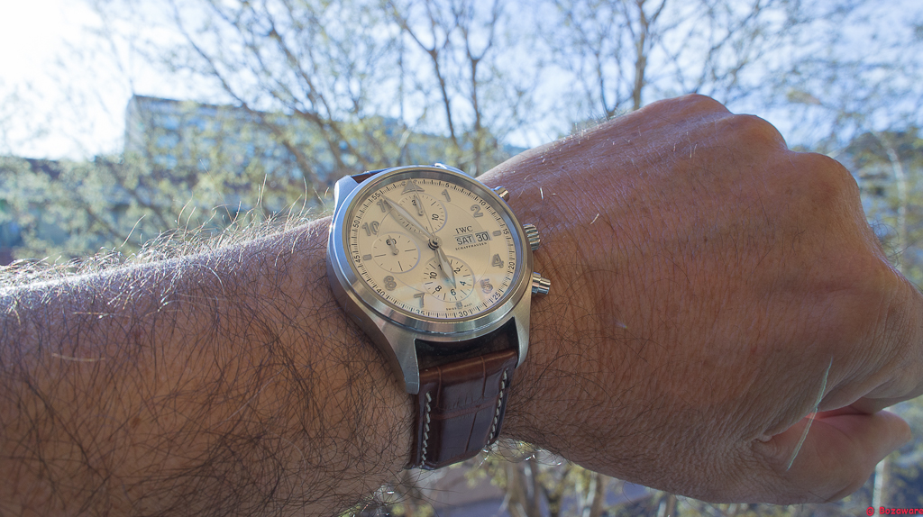 ****La montre du jour ! vol. 8**** - Page 44 600813DSC6800