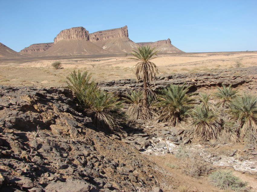 Le Grand Sud du Maroc - II 604020145