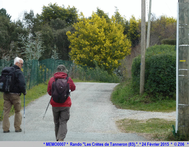 24 Février 2015 - Rando "les crêtes de Tanneron (83)"  604239MEMO0007