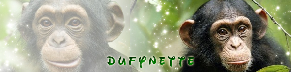 Mes signatures. - Page 31 606407Dufynettedisneynature01