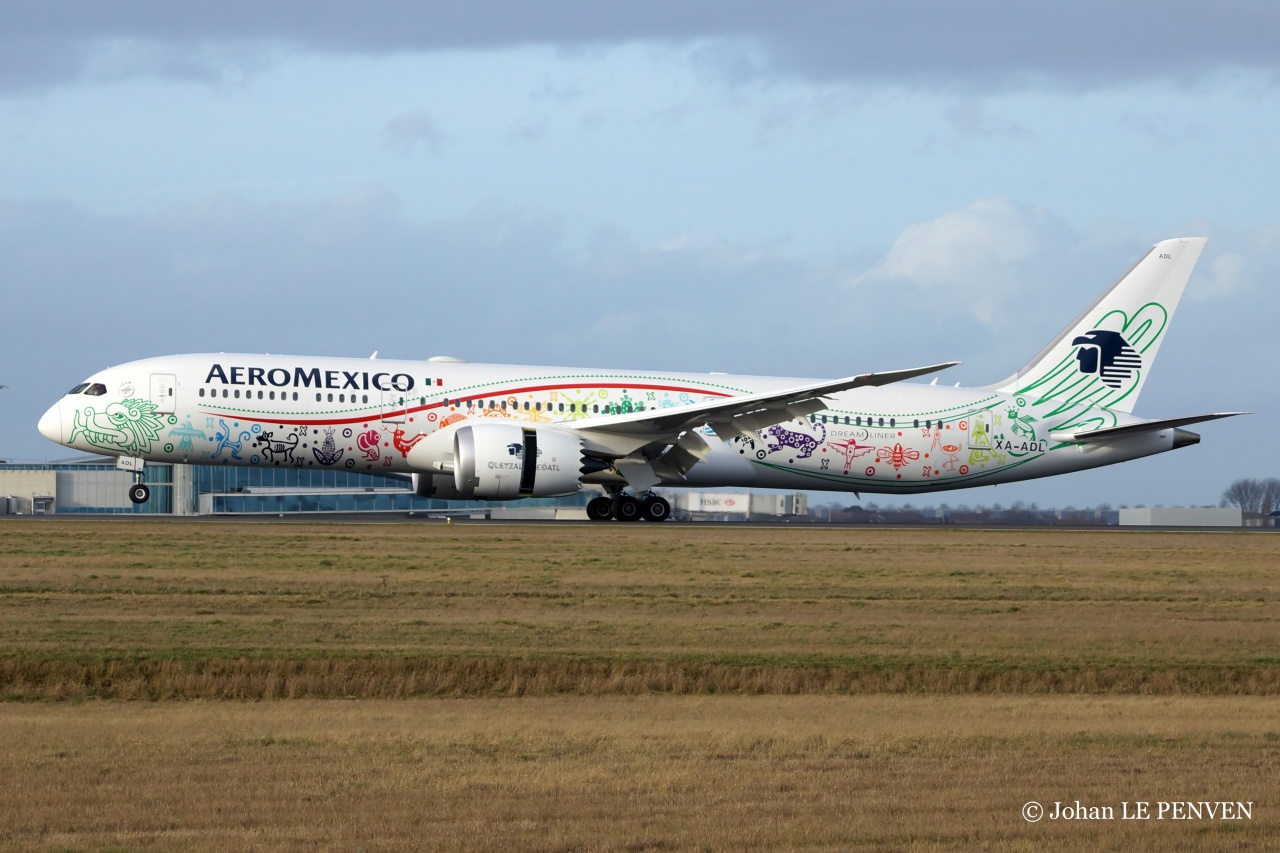 Paris - Roissy Charles de Gaulle LFPG / CDG: Février 2017 - Page 2 608547JohanCDGFvrier201791