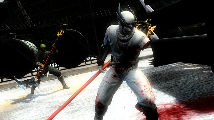 Toutes les images de Ninja Gaiden III : Razor's Edge 6123795427