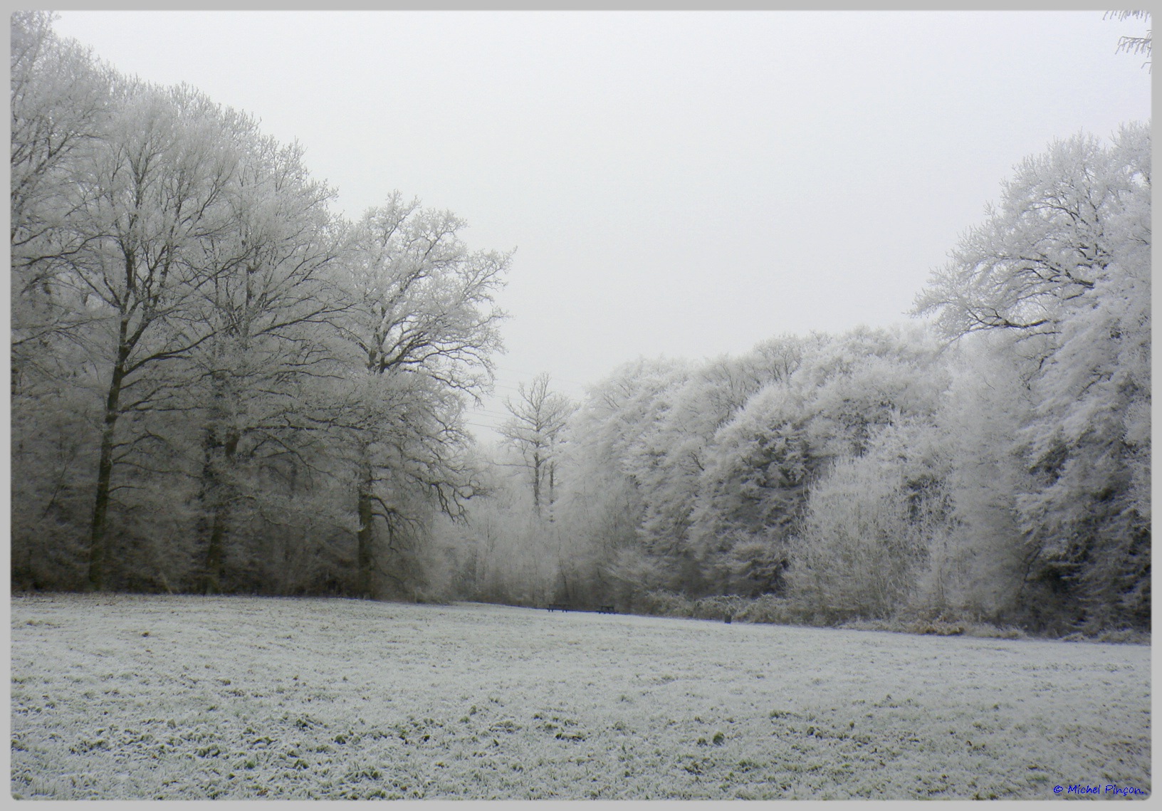 [fil ouvert] la forêt dans tous ses états - Page 11 612505DSC011777