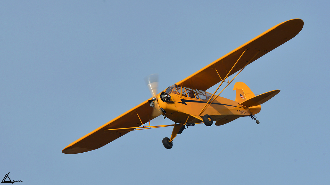 Alais - Aérodrome de La Ferté Alais - Page 14 6141941280DSC6717