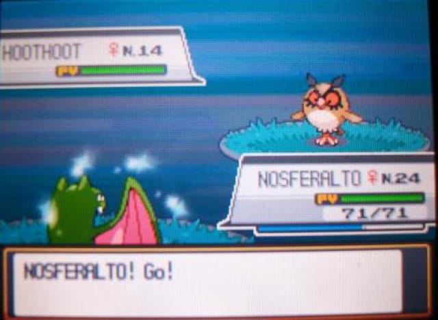 Les shinys de Shizen ! 614531NosferalptoEtoile