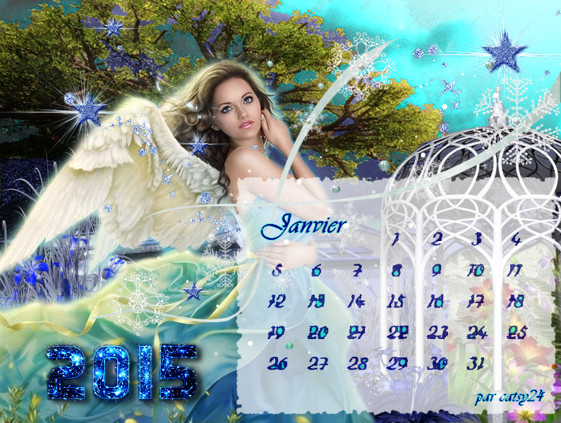 calendrier janvier 2015 614753calendrierjanvier2015png