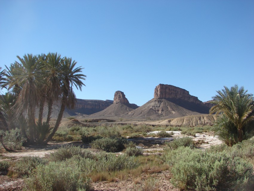 Le Grand Sud du Maroc - II 615241135