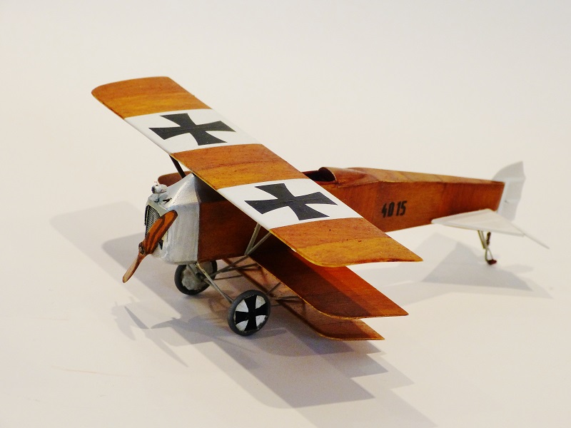 Triplan WW1 Lloyd 40.15 (scratch) 1/48 620228P1090859