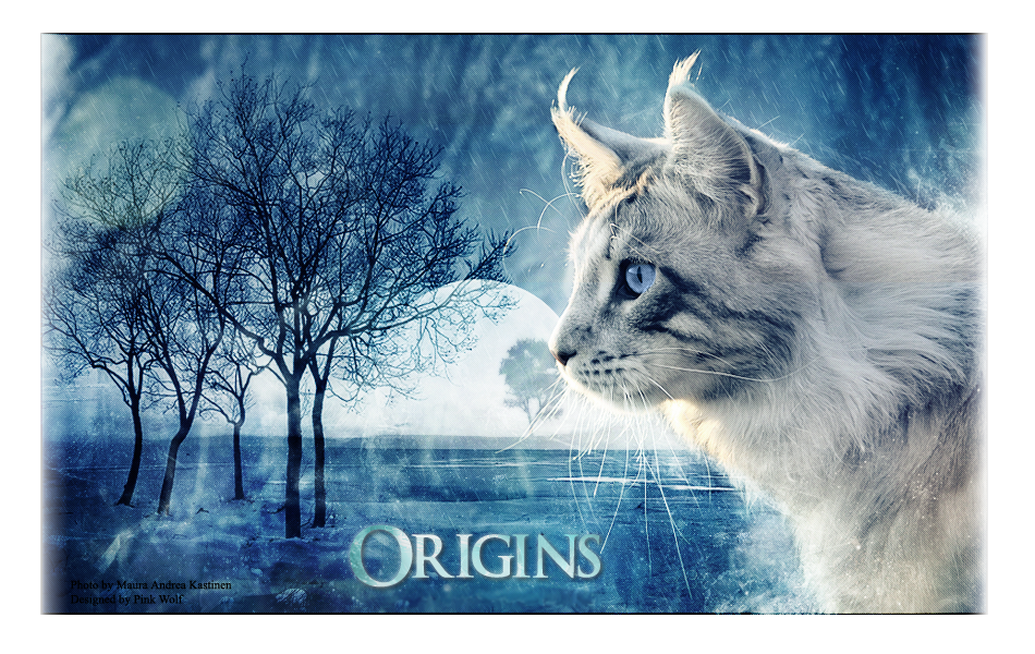 Origins 620480207