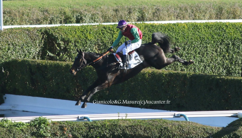 Photos Auteuil 19-11-2016  6207785J6A1040