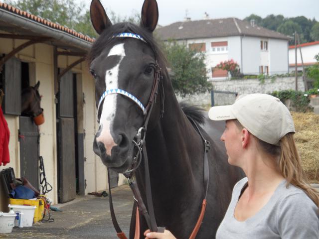 Tiercé à l'hippodrome d'Aurillac 621686SAM0140