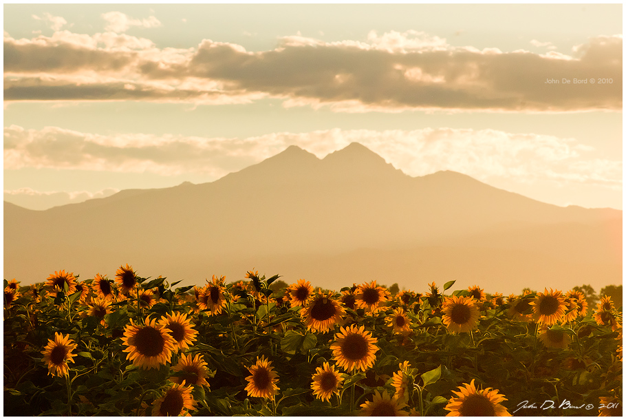 coucou twa [4/4][géré par Asuka] 624858paysagedetournesols