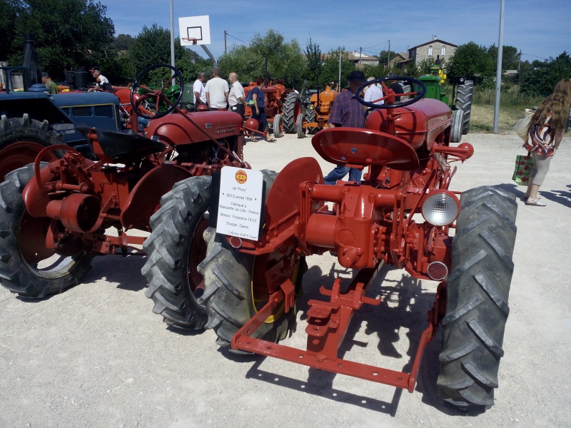 la Fête de l'Agriculture à St THEODORIT  20 et 21 Juin 2015 625409IMG20150621104517