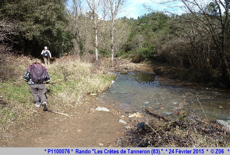 24 Février 2015 - Rando "les crêtes de Tanneron (83)"  626229P1100076